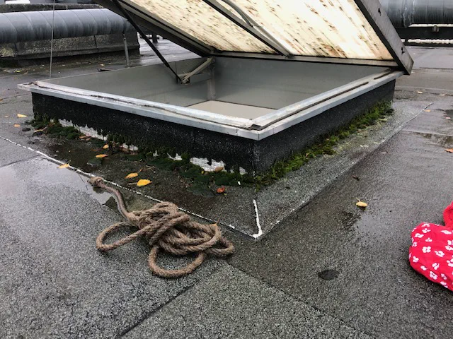 Costière de lanterneau envahie de mousse sur une toiture terrasse