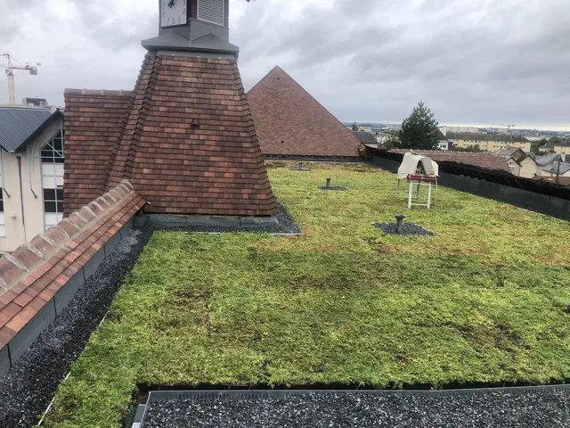 Toiture terrasse végétalisée en sédum sur complexe d'étanchéité anti-racines